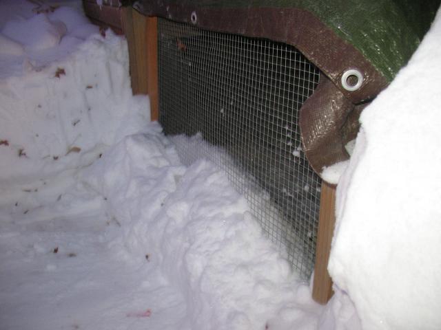 1029_img_0556.jpg