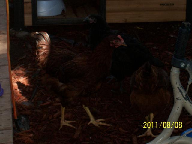 103073_007.jpg
