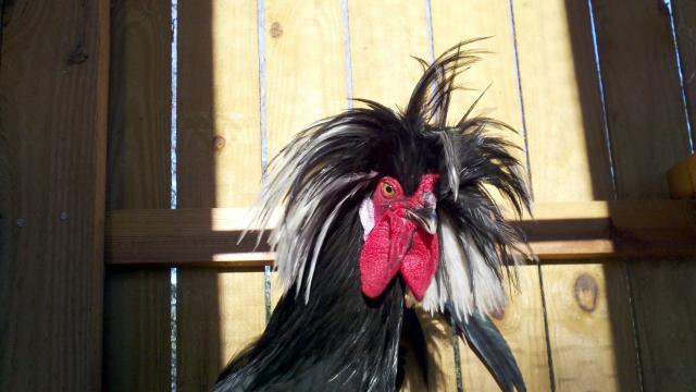 103208_2011-02-13_17-06-23_657.jpg