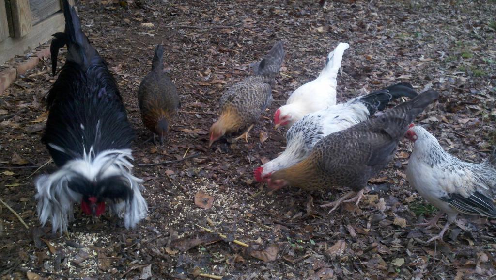 103208_2011-12-22_15-11-01_570.jpg