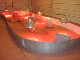 10326_015.jpg