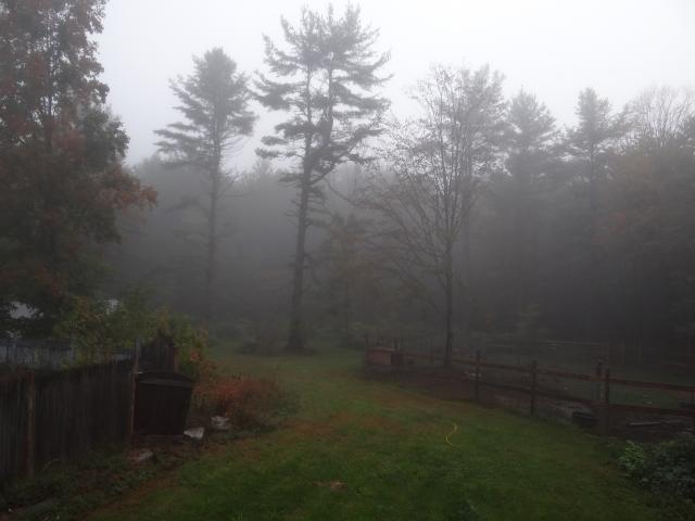 103431_001.jpg