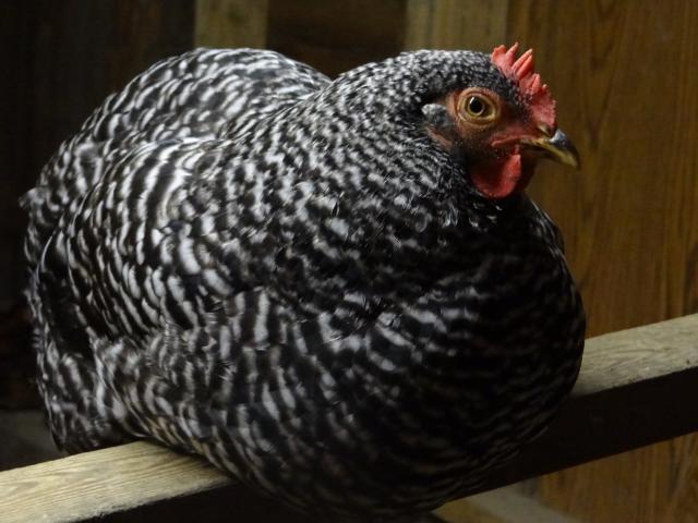 103431_119.jpg