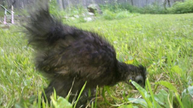 103431_2011-08-21_15-26-19_842.jpg