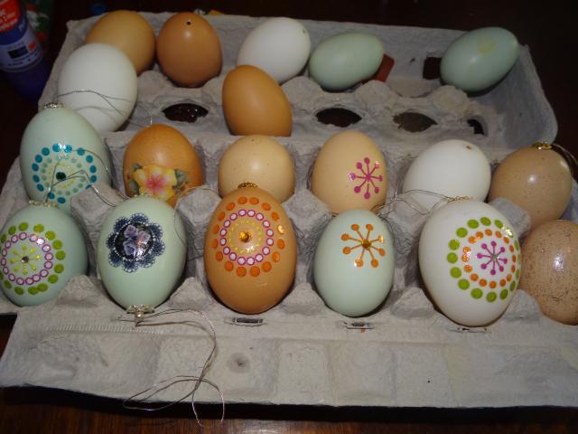 103431_eggs1.jpg