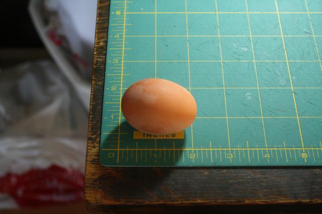 103548_bettys_first_egg_12-6-11.jpg