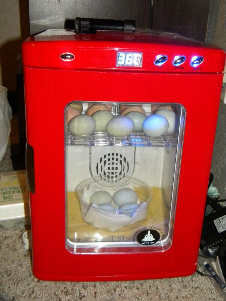 103601_dscn3371.jpg