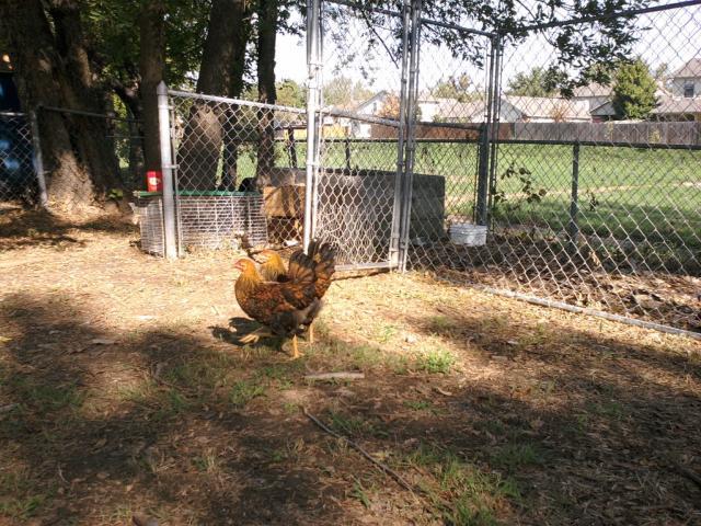 103646_photo2034.jpg