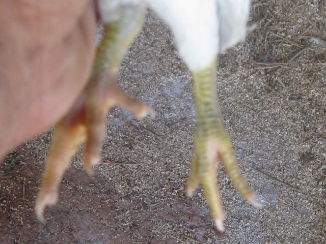 10364_img_0849.jpg