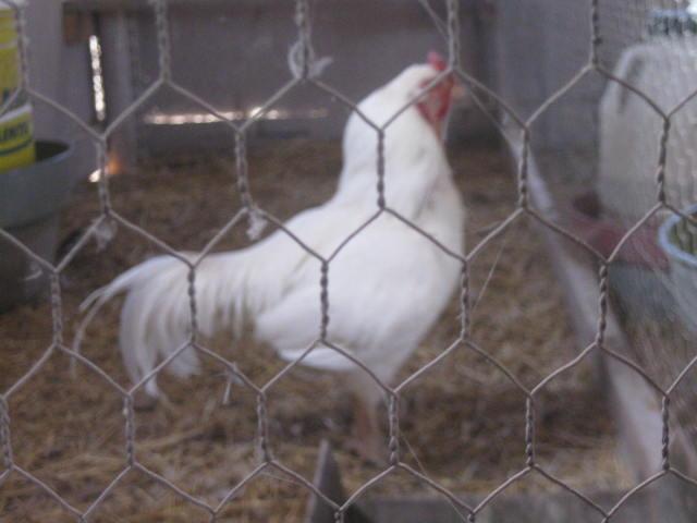 10364_img_1324.jpg