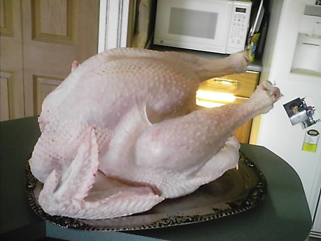 10364_processing_our_first_homeraised_turkey_004.jpg