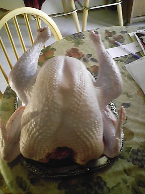 10364_processing_our_first_homeraised_turkey_005.jpg