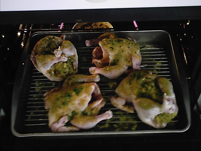 10364_sweet_apple_sage_stuffed_cornish_hens_001.jpg