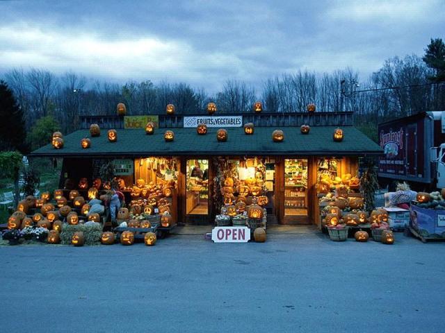 10376_pumpkins.jpg