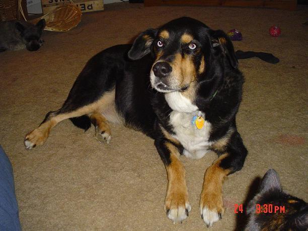 104028_frankie.jpg