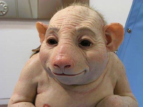 104042_swine_flu.jpg