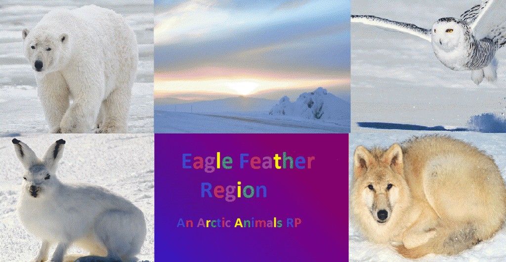 104779_eaglefeather.png