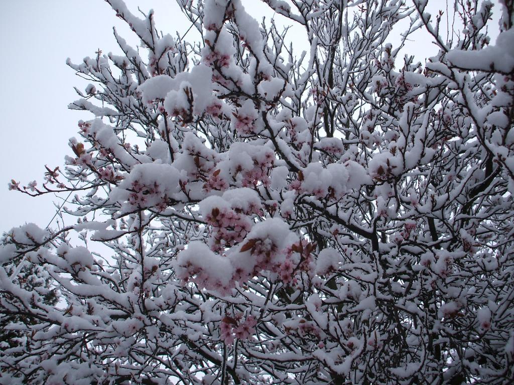 104791_dscf0856.jpg