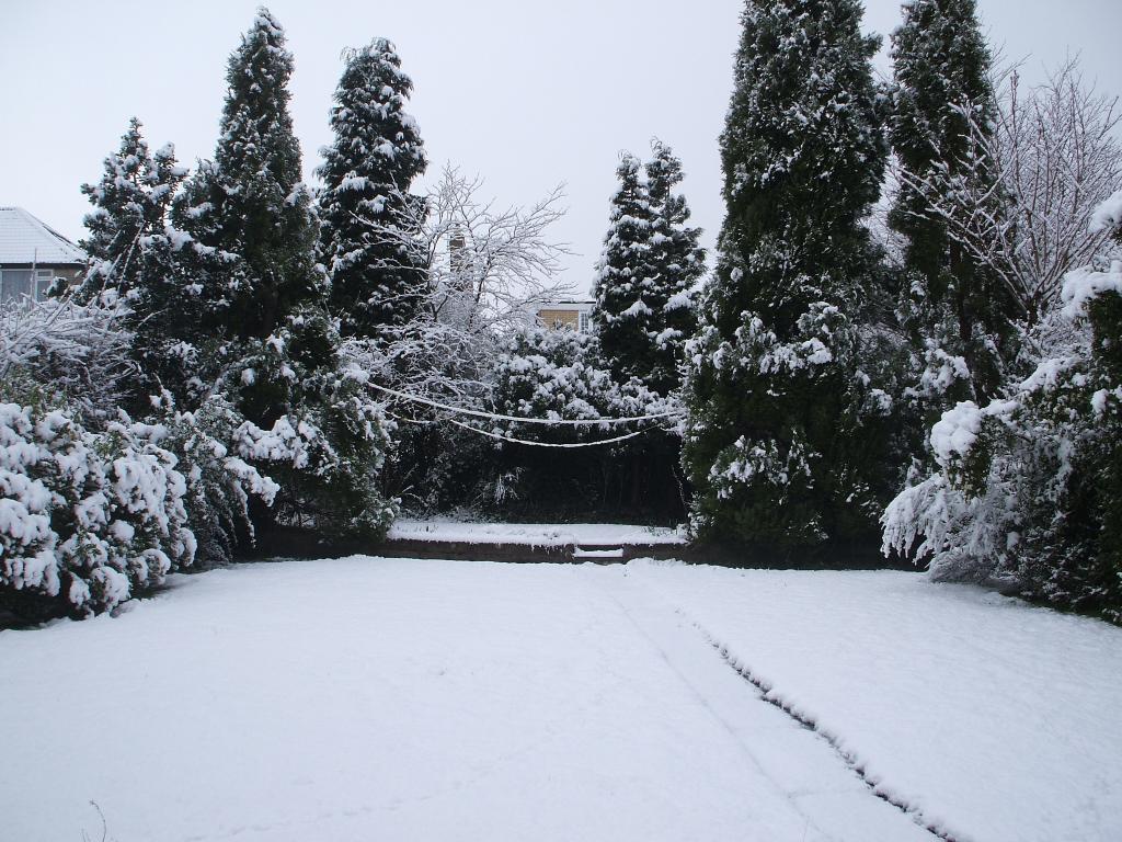 104791_dscf0864.jpg