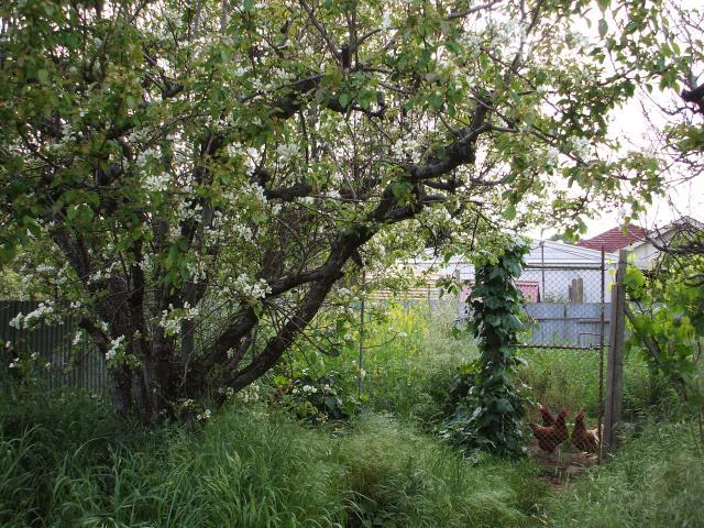 104791_dscf2489.jpg