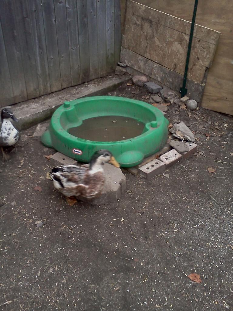 104868_imagejpeg_2_7.jpg
