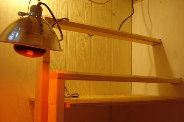 104933_coop13.jpg