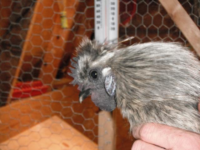 105108_dscf05701.jpg
