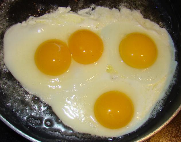 10514_hugeegg3.jpg