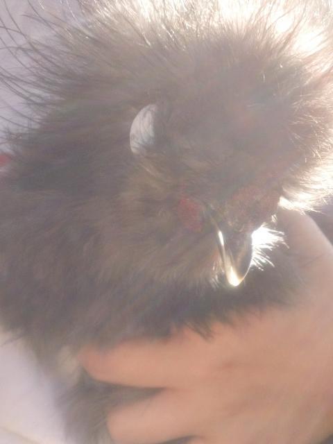 105510_dsc01152.jpg