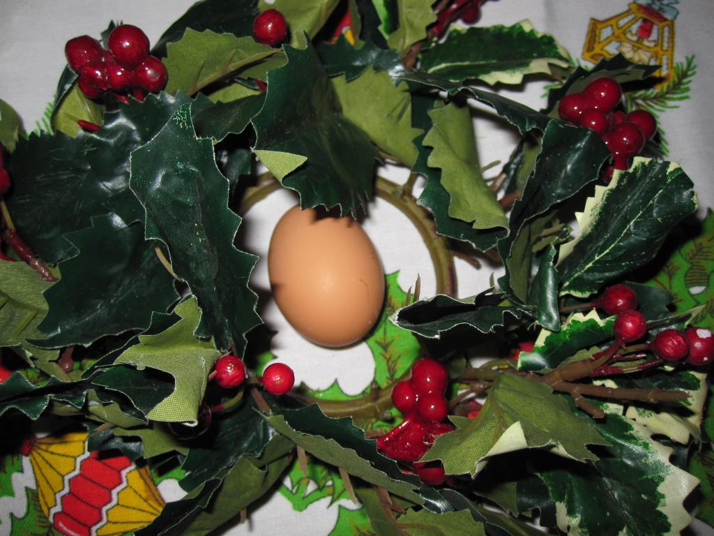 105540_aggie_egg_001.jpg