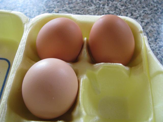 105605_egg.jpg