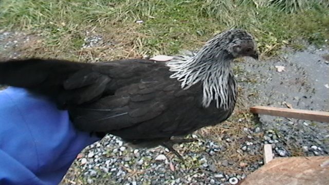 105825_imga0765.jpg