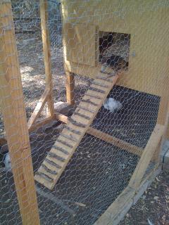 106072_img_1174.jpg