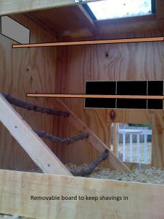 106072_img_11800.jpg