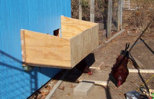 106293_100_7441.jpg
