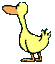 10638_ducktailteu1.gif