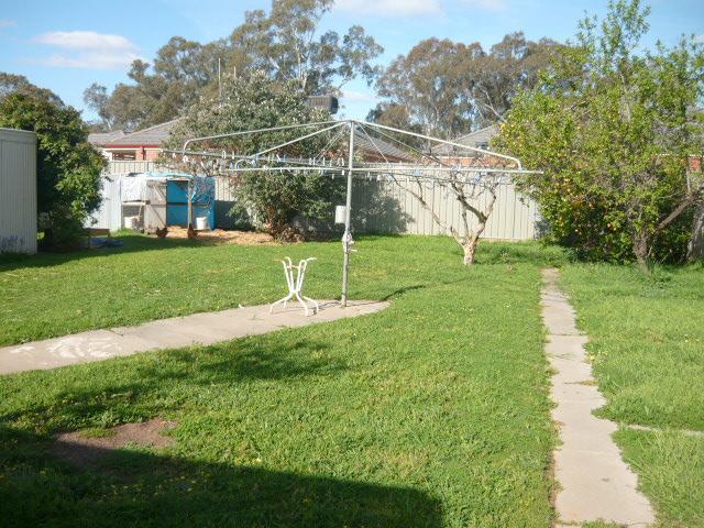 106490_p1050538.jpg