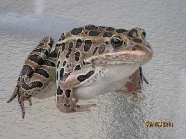 10663_img_0600.jpg