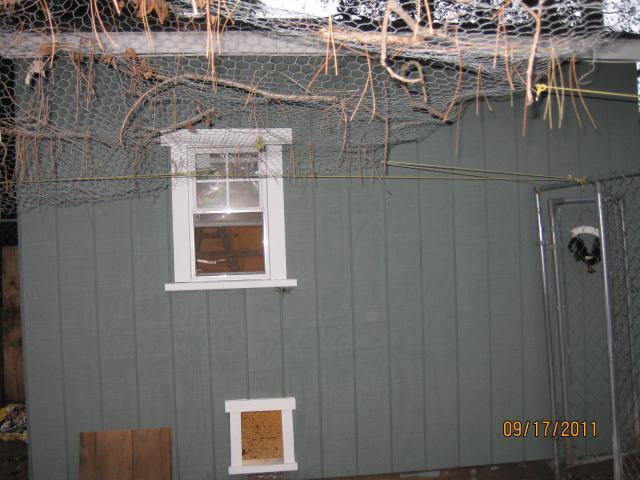 10663_img_0748.jpg