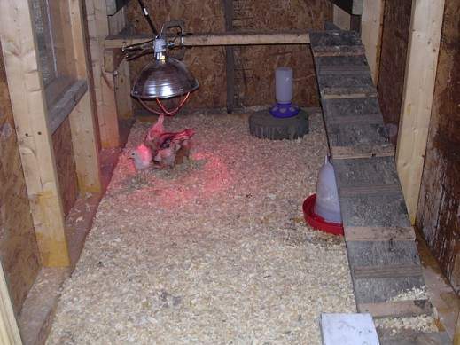 10705_march1bighouse.jpg