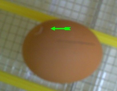 10705_pict0006.jpg