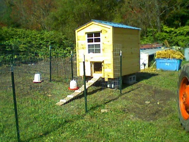 107076_chicken_coop.jpg