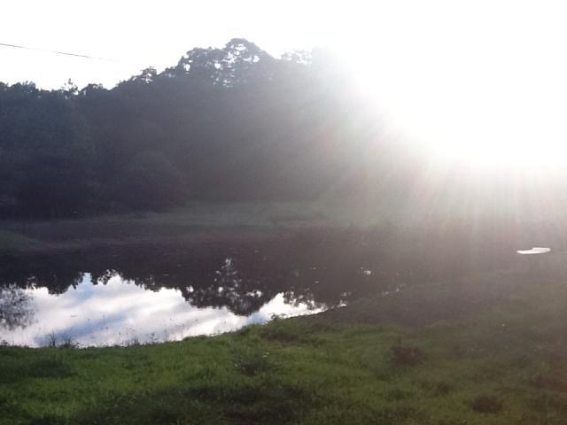 107179_ipad_photos_015.jpg