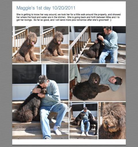 107430_maggieakashaggy.jpg