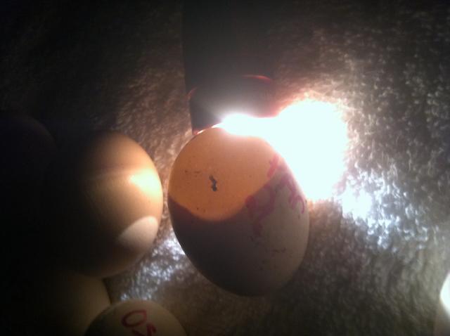 107474_img_2064.jpg