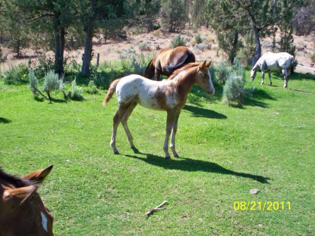 107628_116_0996.jpg