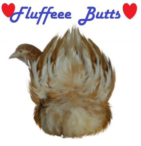 107787_fluffee-butts-039.jpg