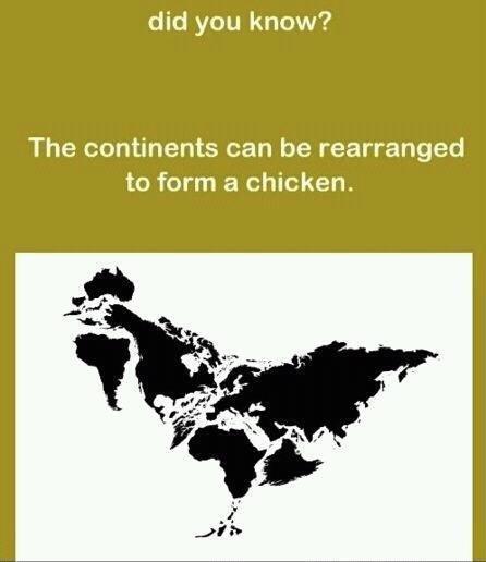 107896_383988_297784416926331_153592064678901_855582_1918842362_n.jpg