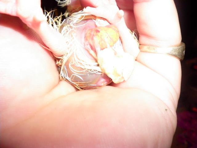 108236_sany0012.jpg