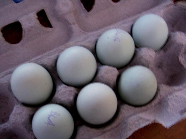 10851_dscn0036.jpg